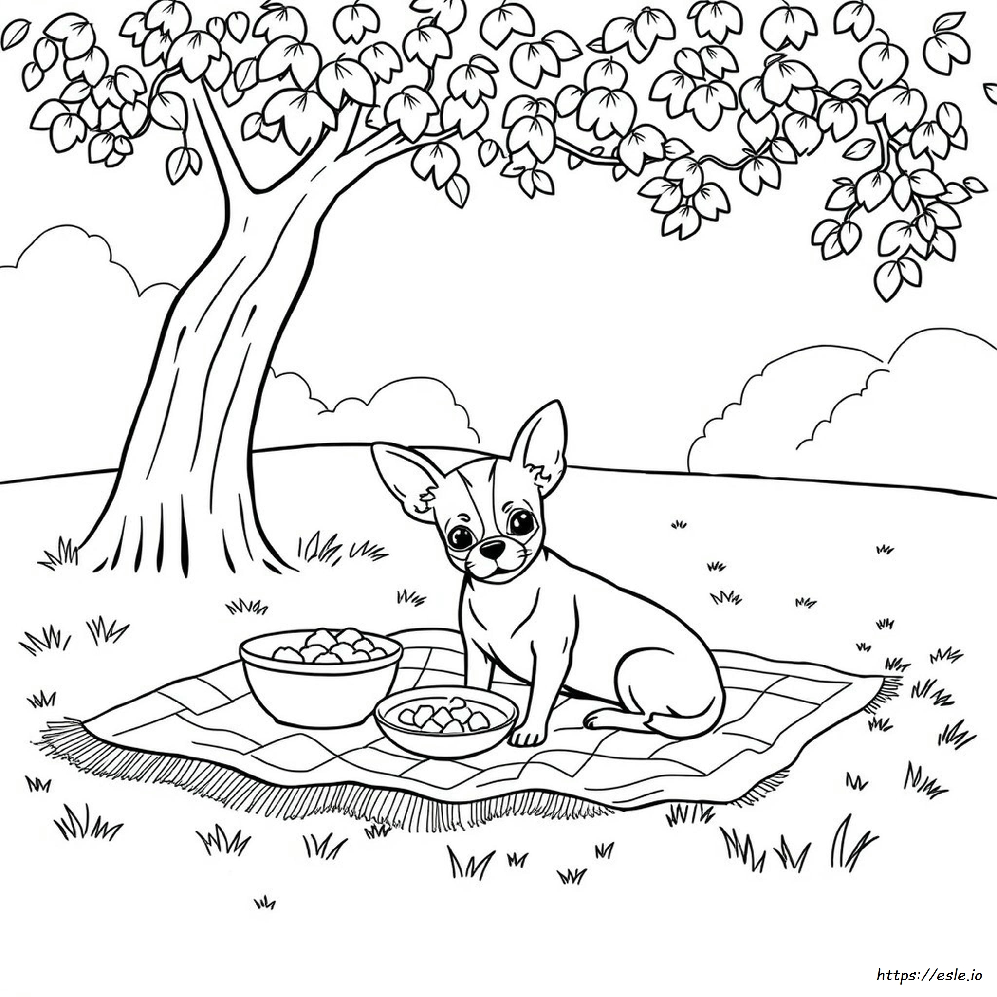 Coloring Pictures Of Chihuahuas
