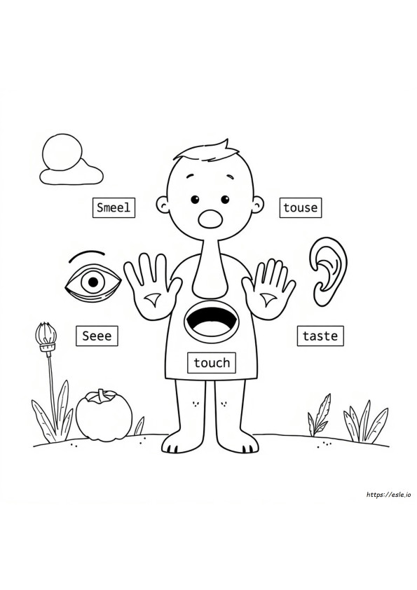 My Five Senses Coloring Pages