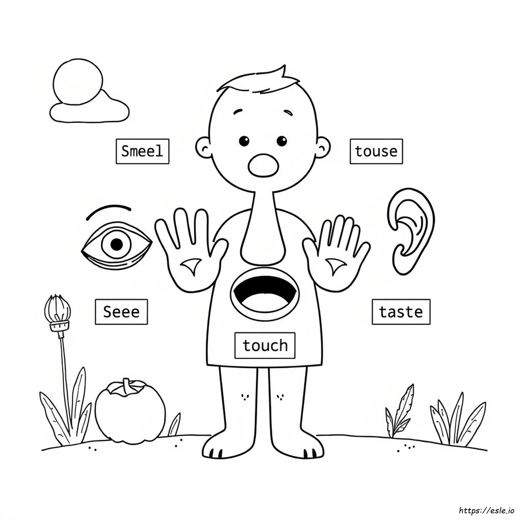 My Five Senses Coloring Pages