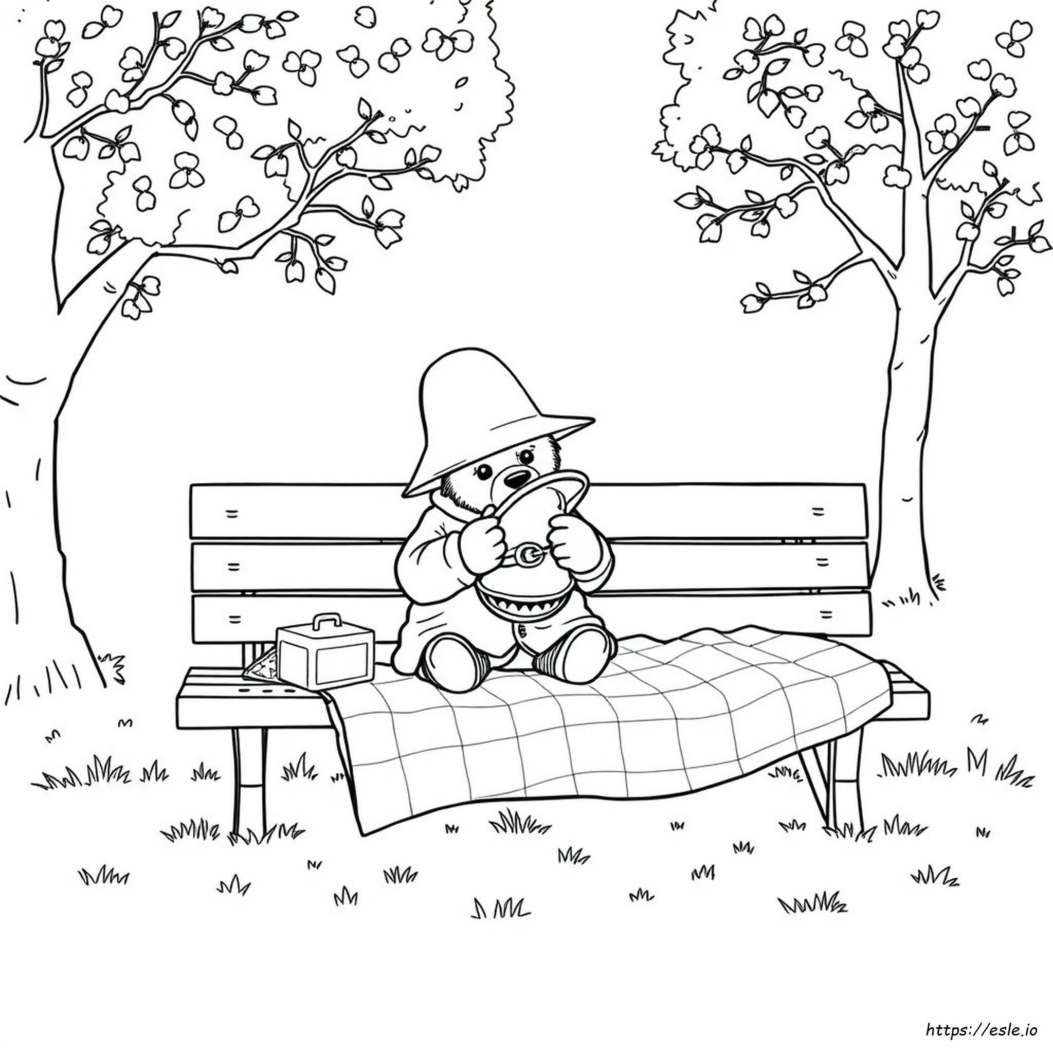 Paddington Bear Colouring In