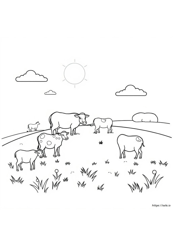 Animales De Granja Para Colorear