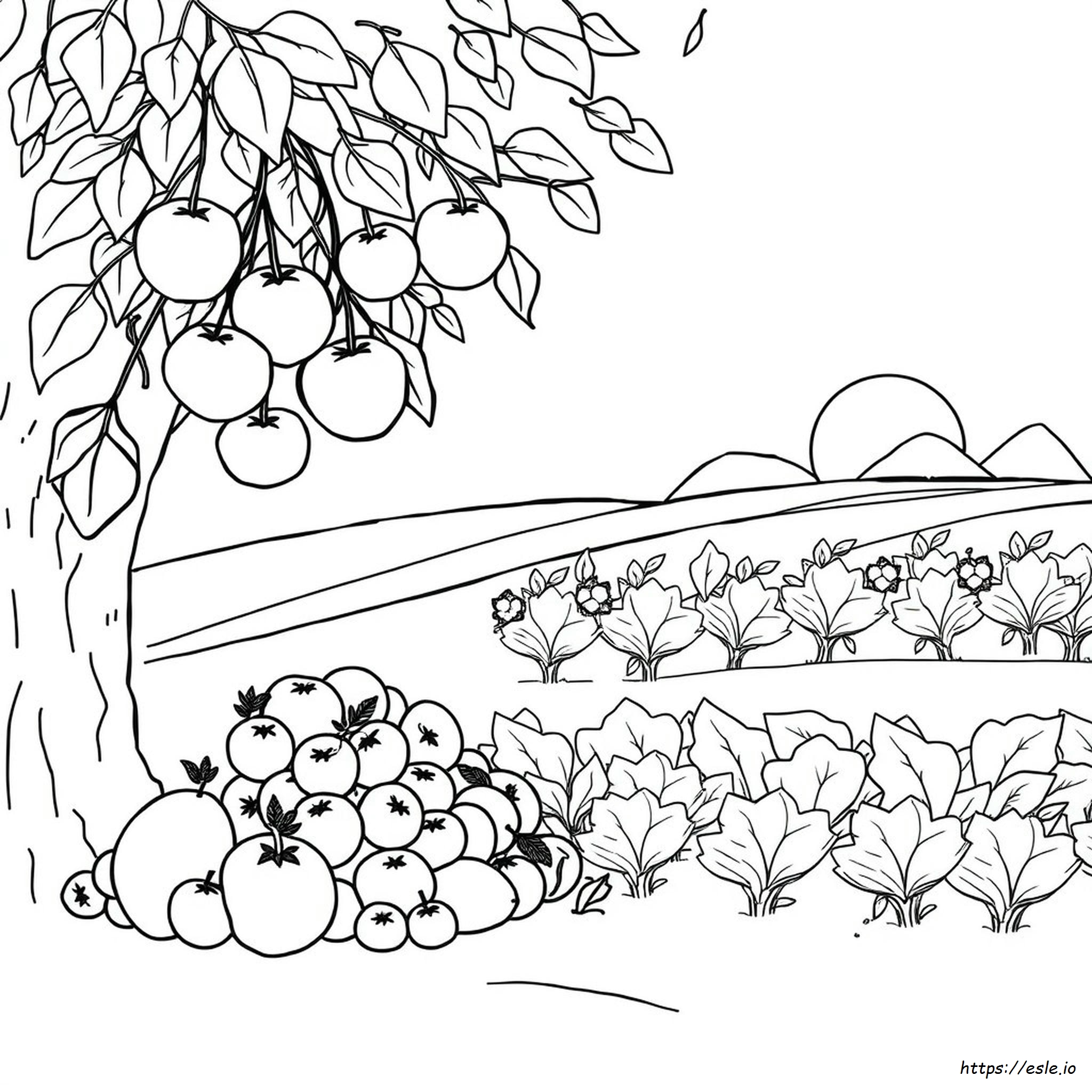 Fruits And Vegetables Pictures For Coloring