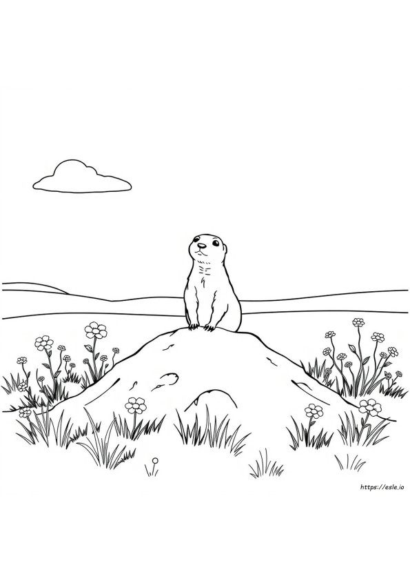 Coloriage Chien De Prairie