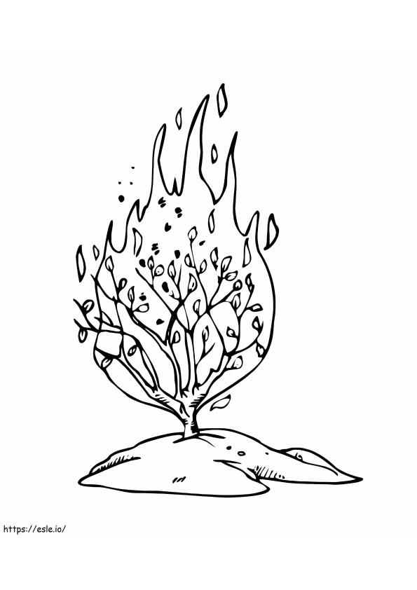 Burning Bush 10 coloring page