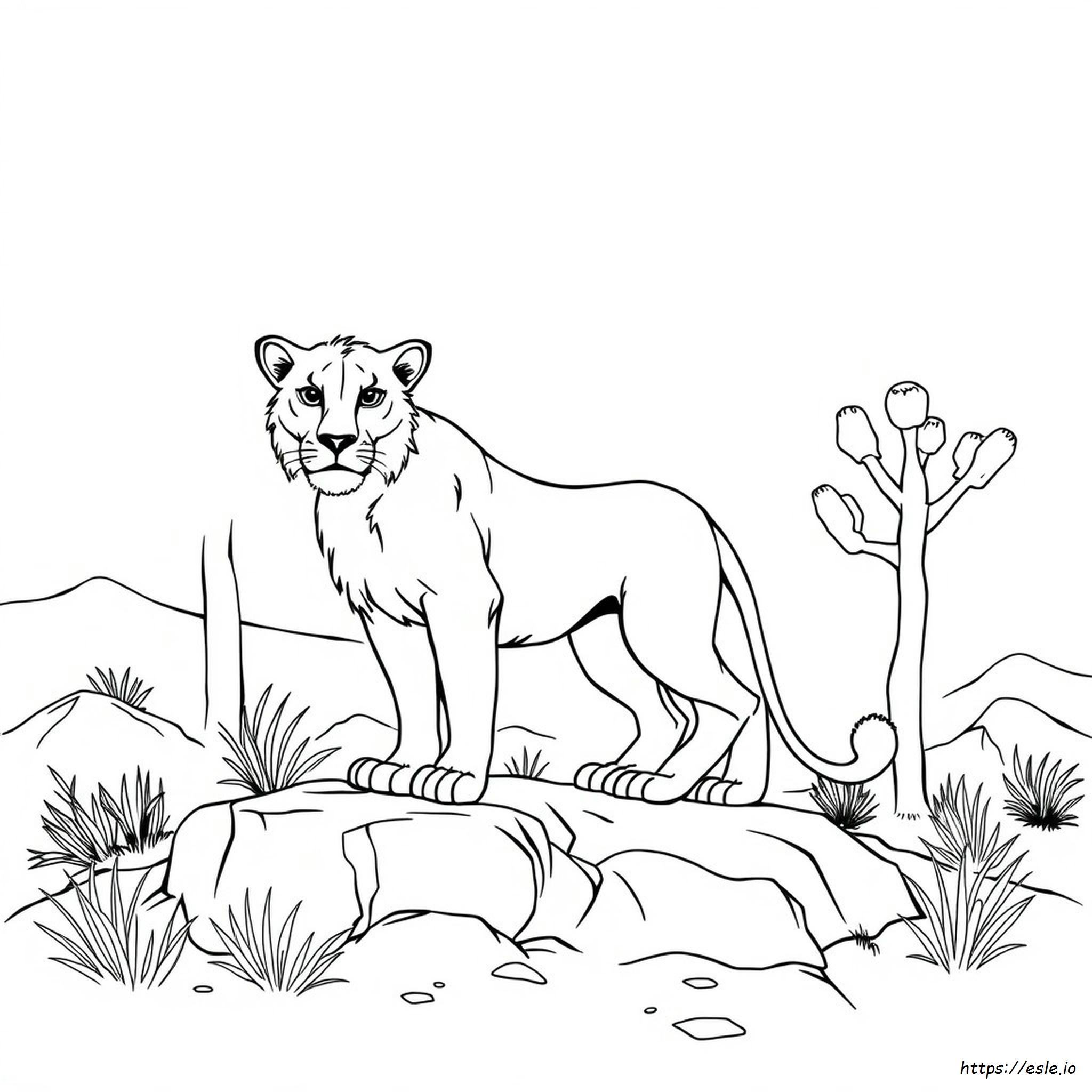 Female Lion Lioness Coloring Pages