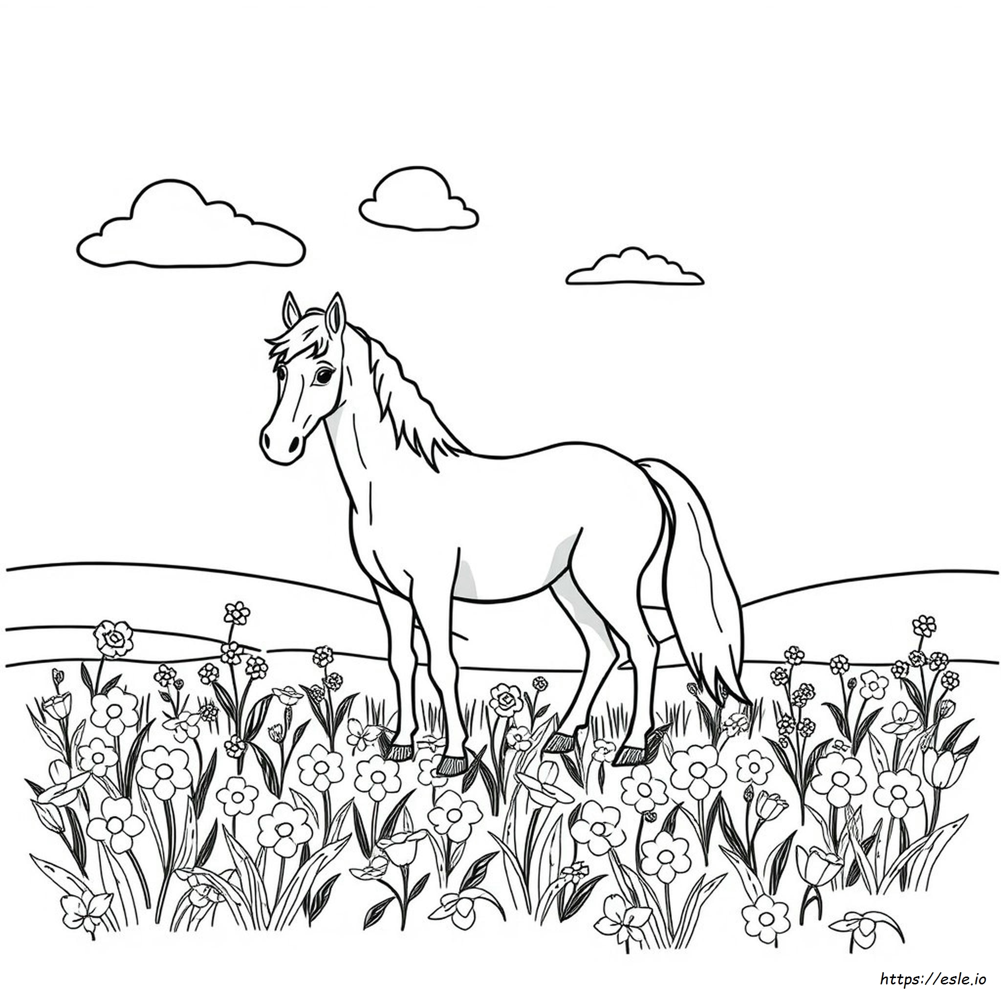 Horse Coloring Images