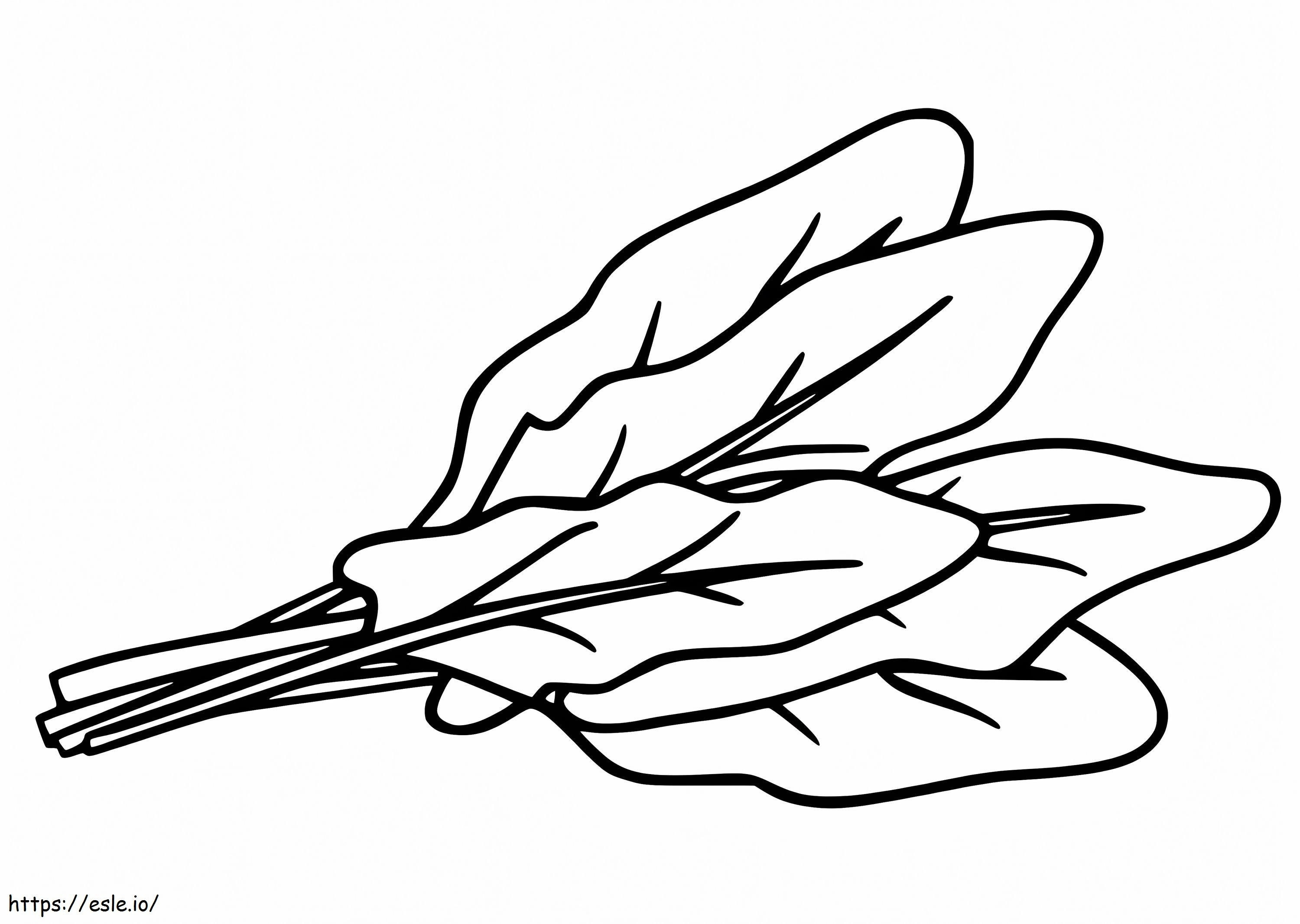 Free Spinach Coloring Pages coloring page