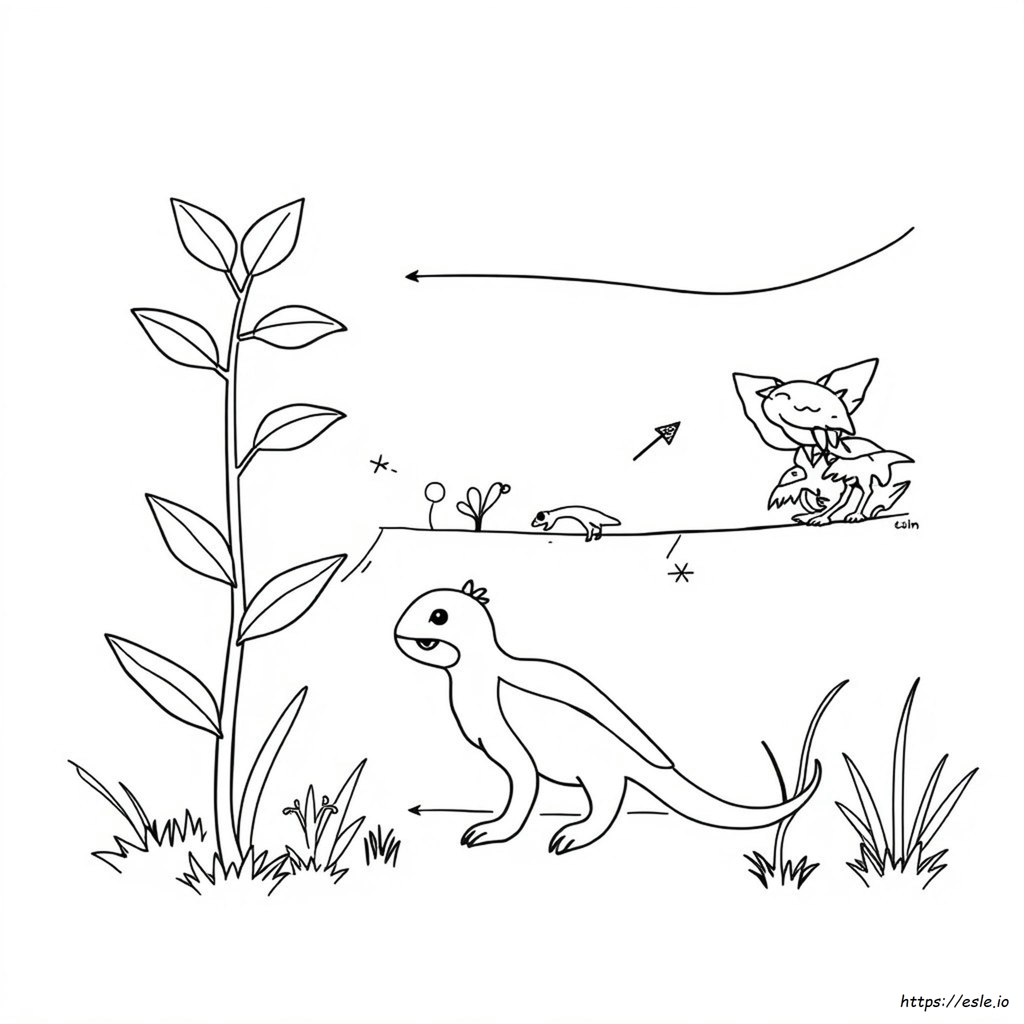 Food Web Coloring Pages
