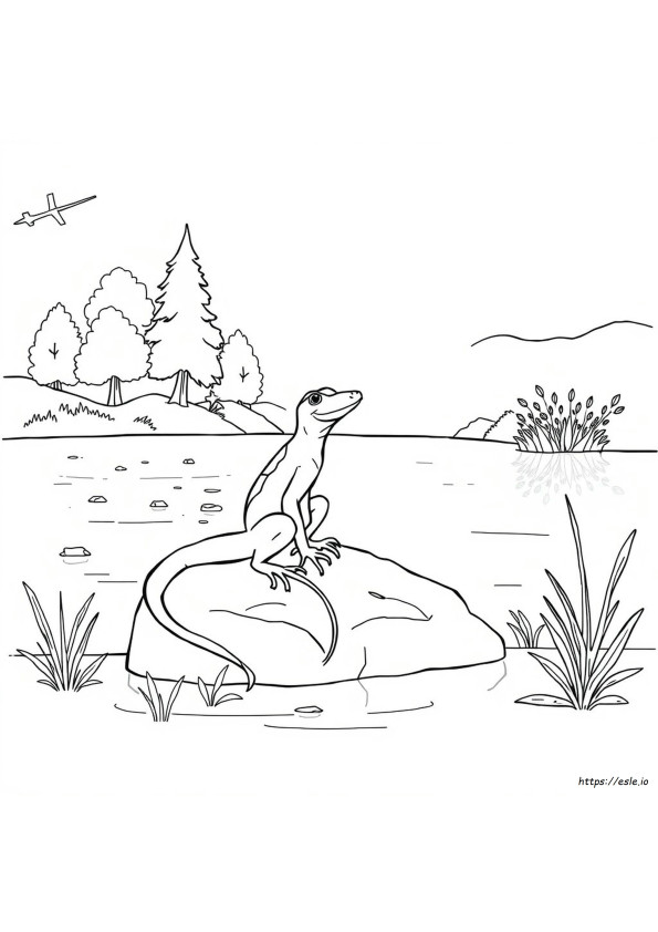 Gekko Ausmalbilder