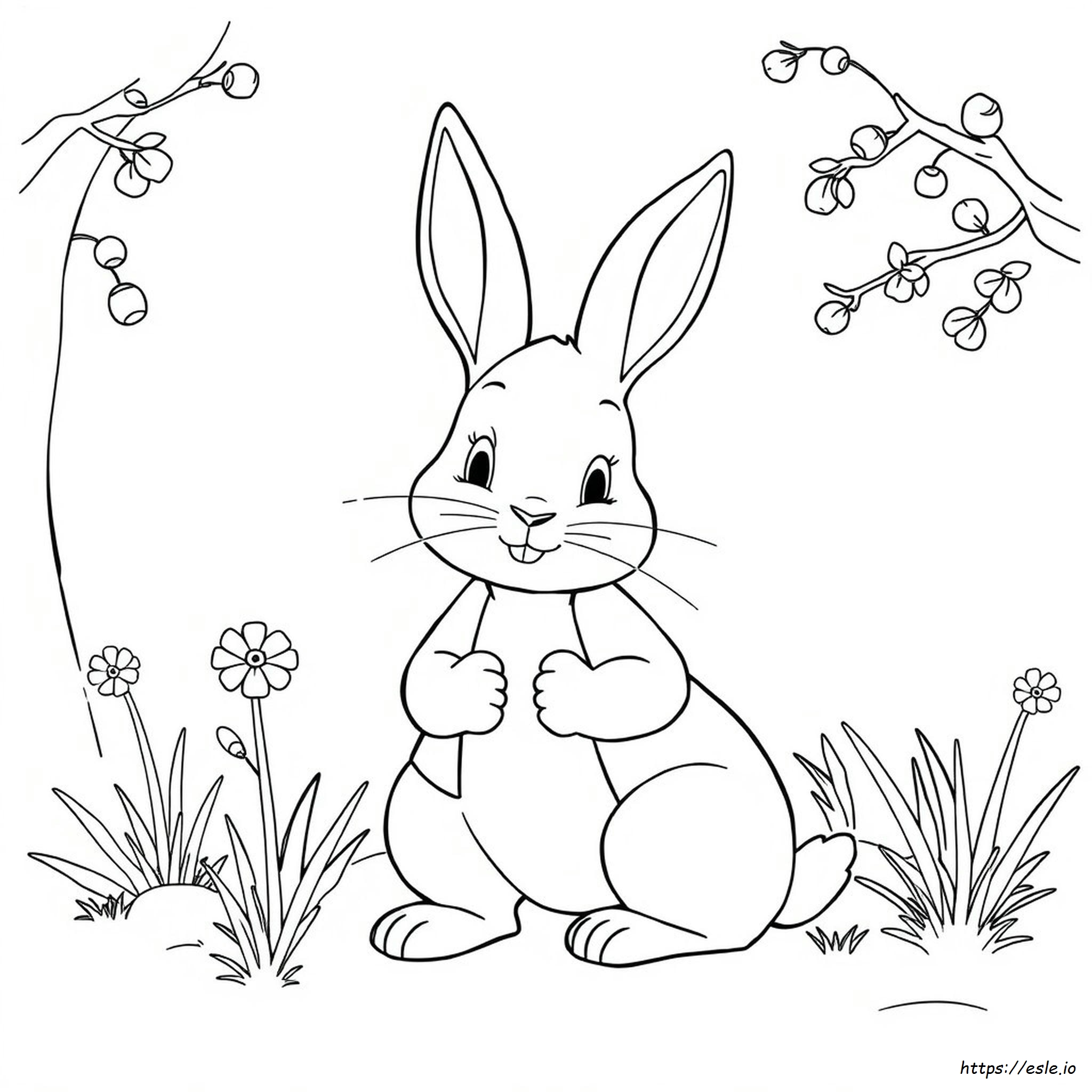 Free Peter Rabbit Coloring Pages