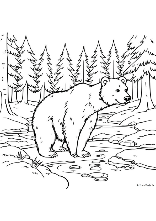 Coloriage Ours Grizzly