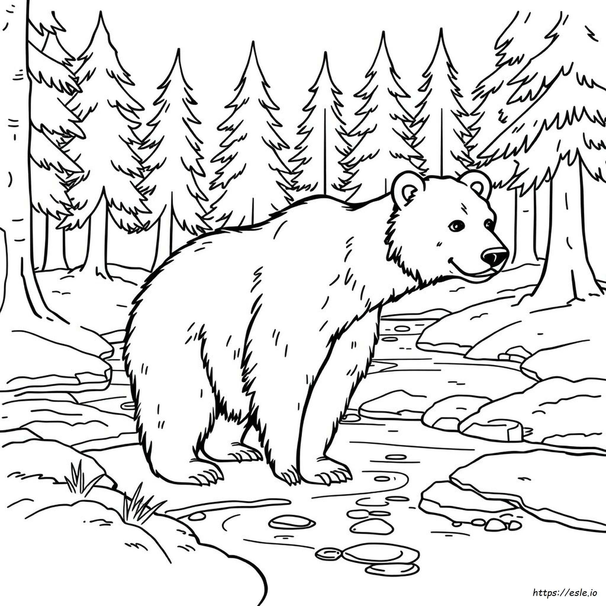 Grizzly Bear Coloring Page