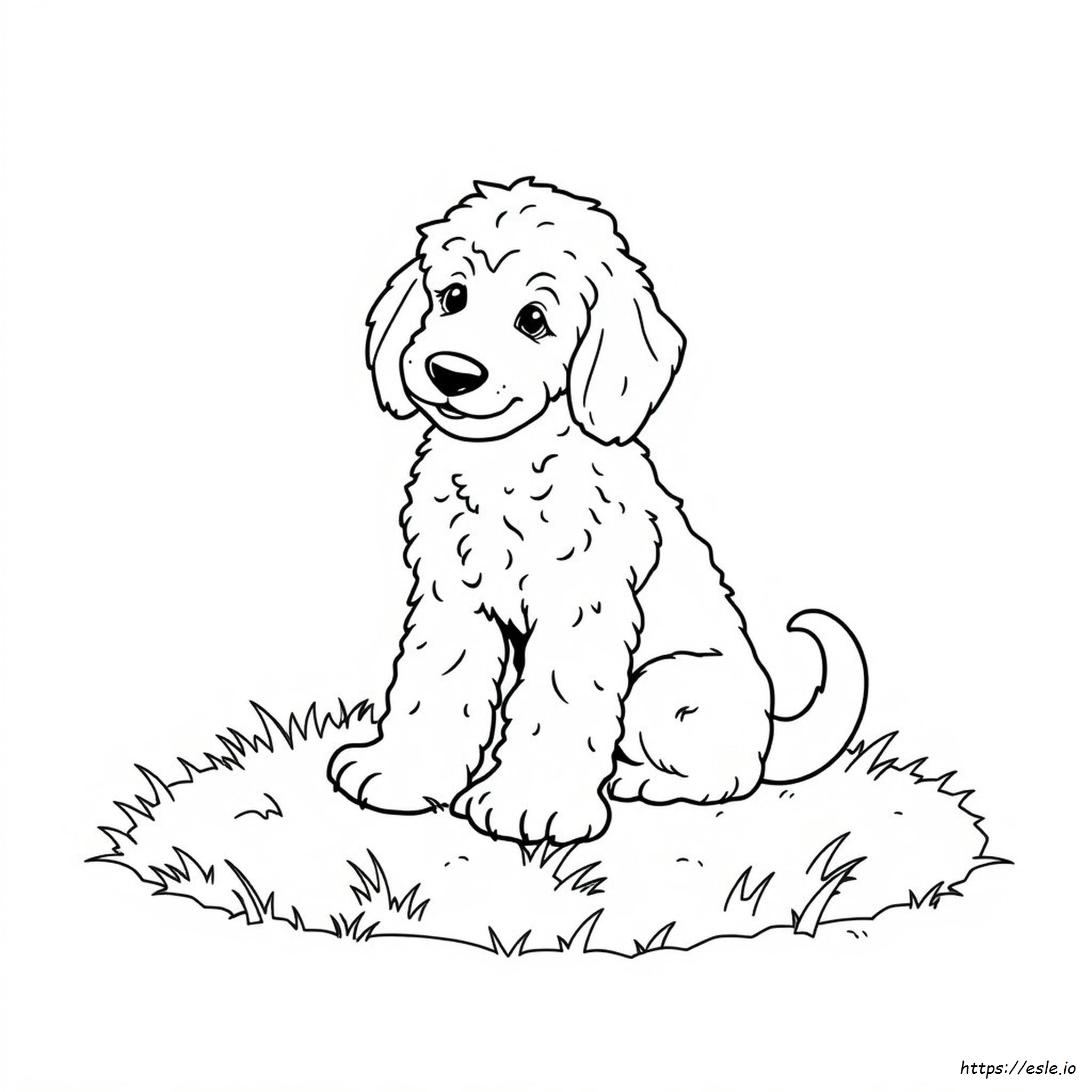 Golden Doodle Coloring Sheet