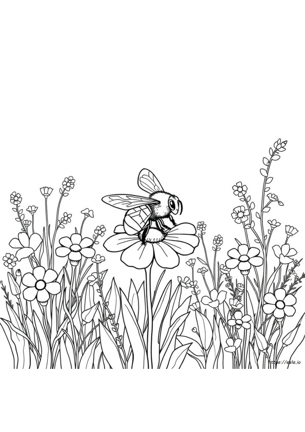 Páginas Para Colorear De Abeja Melífera