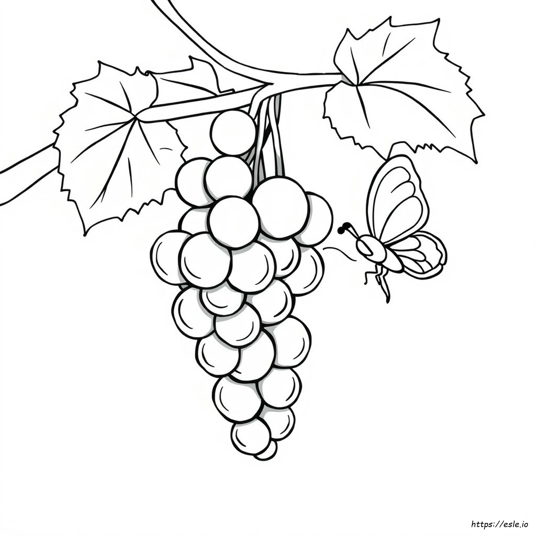 Coloring Pages Cartoon Grapes Drawing