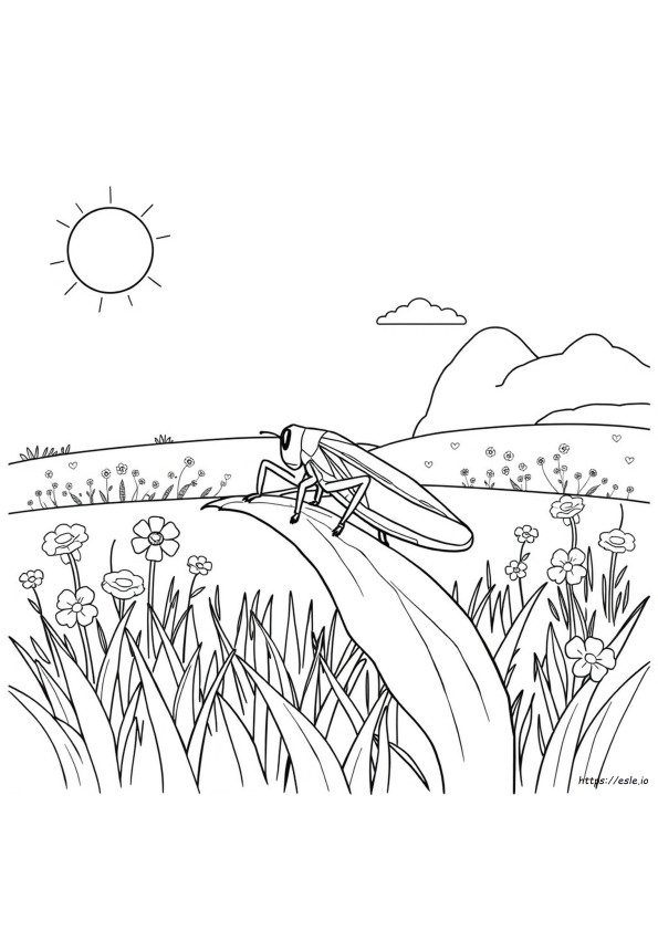 Coloriage De Sauterelle