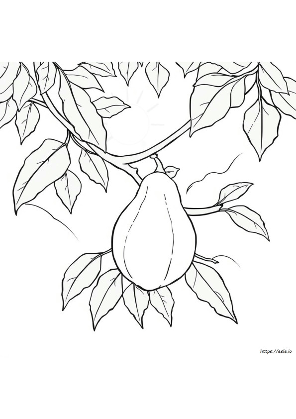 Papaya Color Code