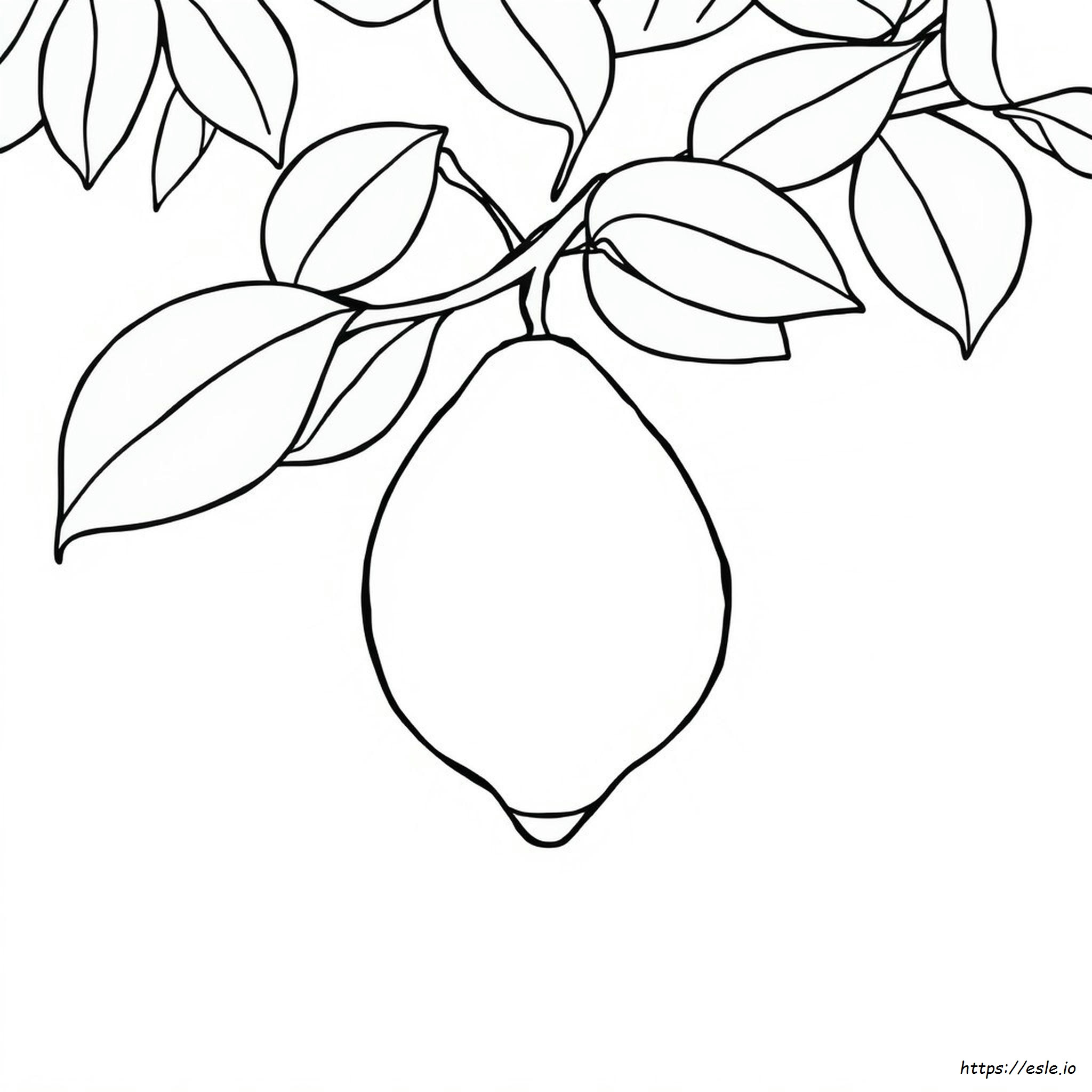 Lemon Colorin Lemon Coloring Picture