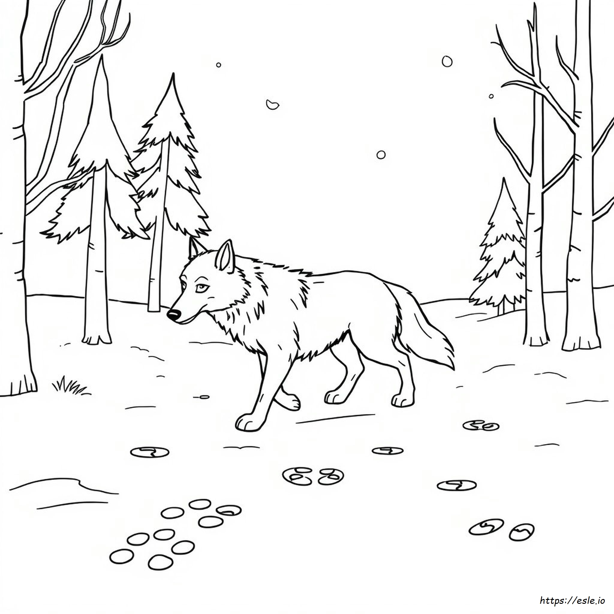 Wof Coloring Book Pages