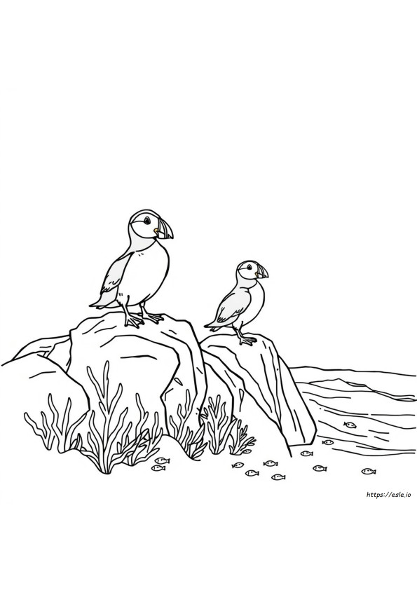 Puffin Rock Coloring Pages