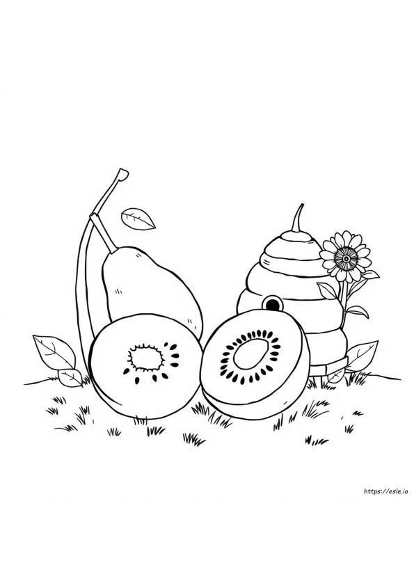 New Zealand Kiwiana Colouring Pages
