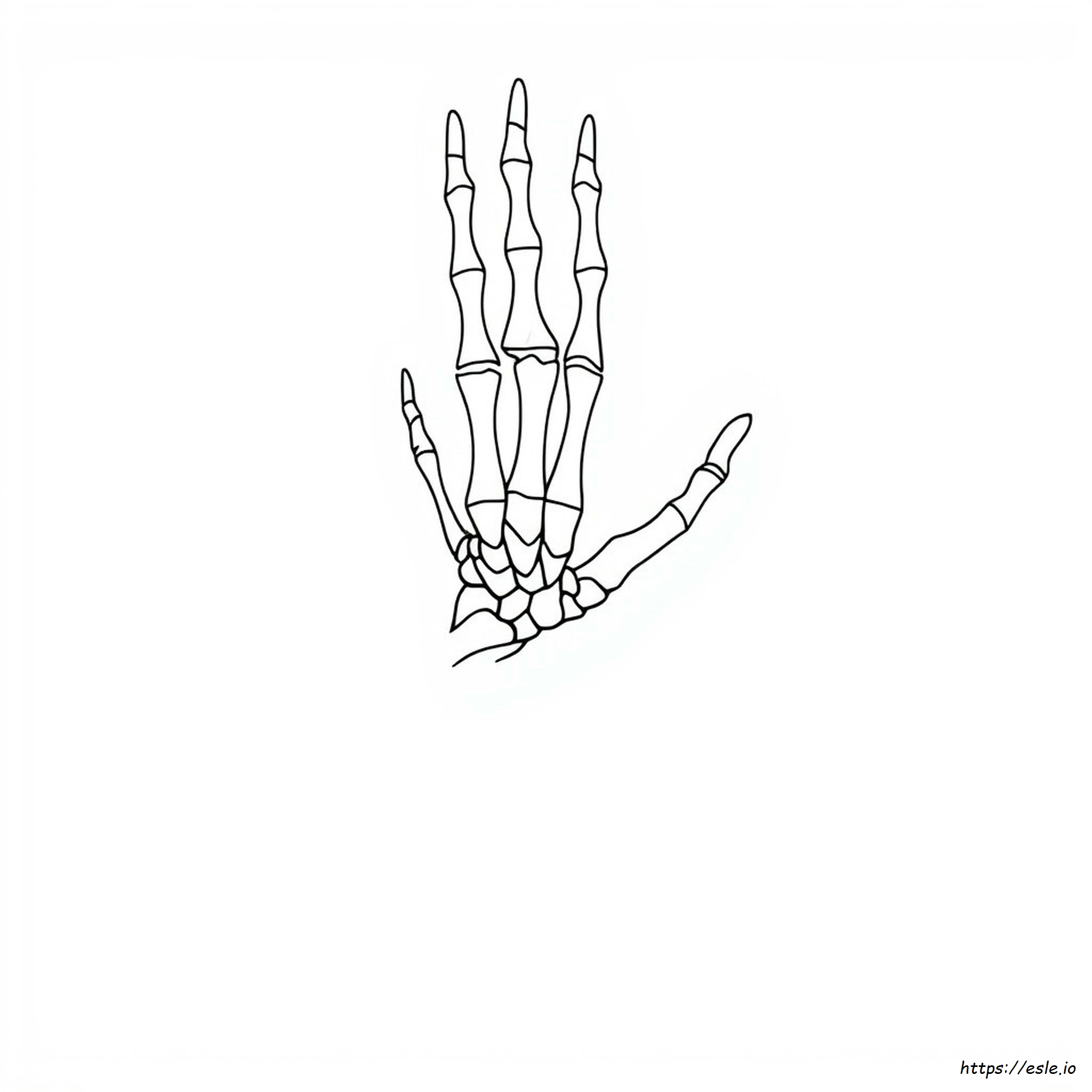 The Anatomy Coloring Book Page 2