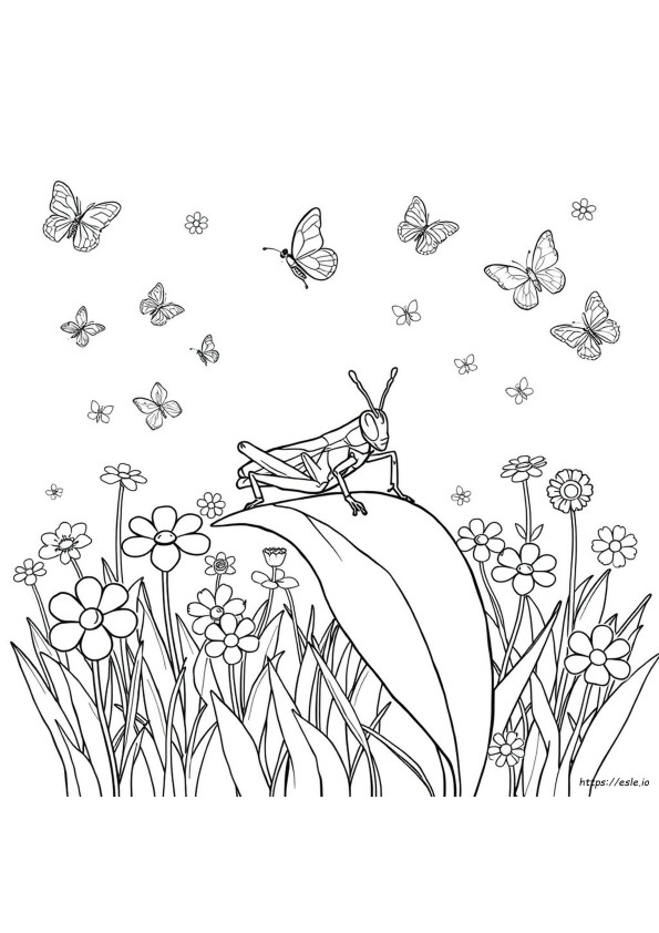 Coloriage Sauterelle
