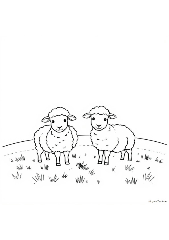 Sheep Coloring Pages To Print