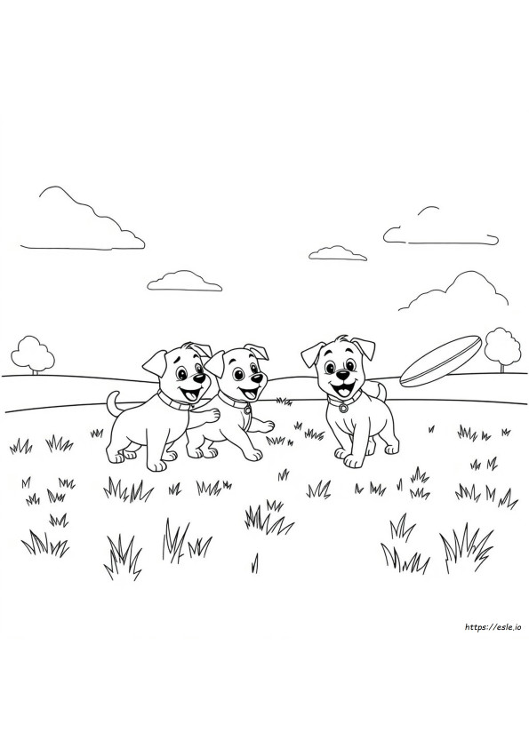 Yavru Köpek Akademisi Boyama Sayfaları