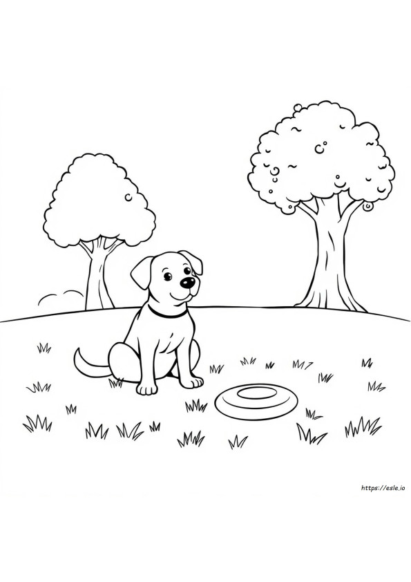 Köpek Boyama Yazdırılabilir