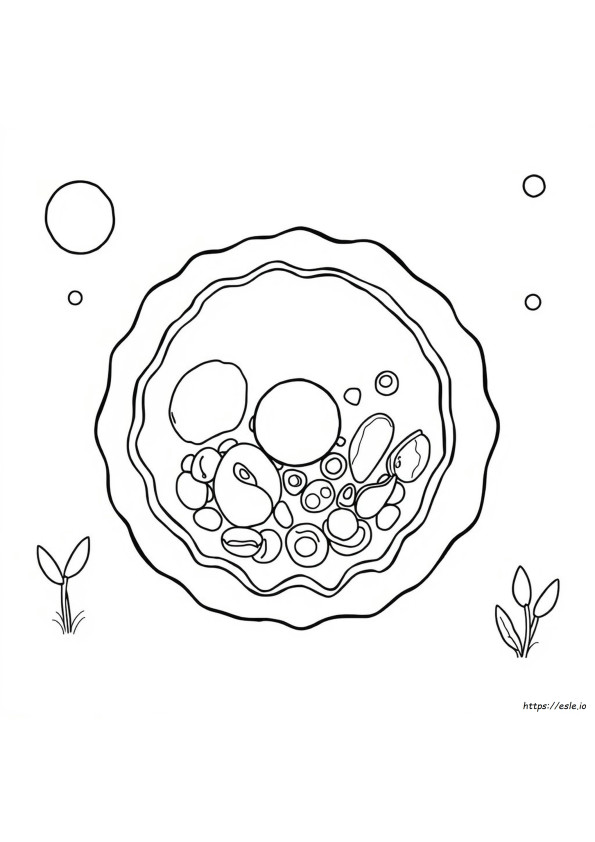 Animal Cell Coloring Worksheet
