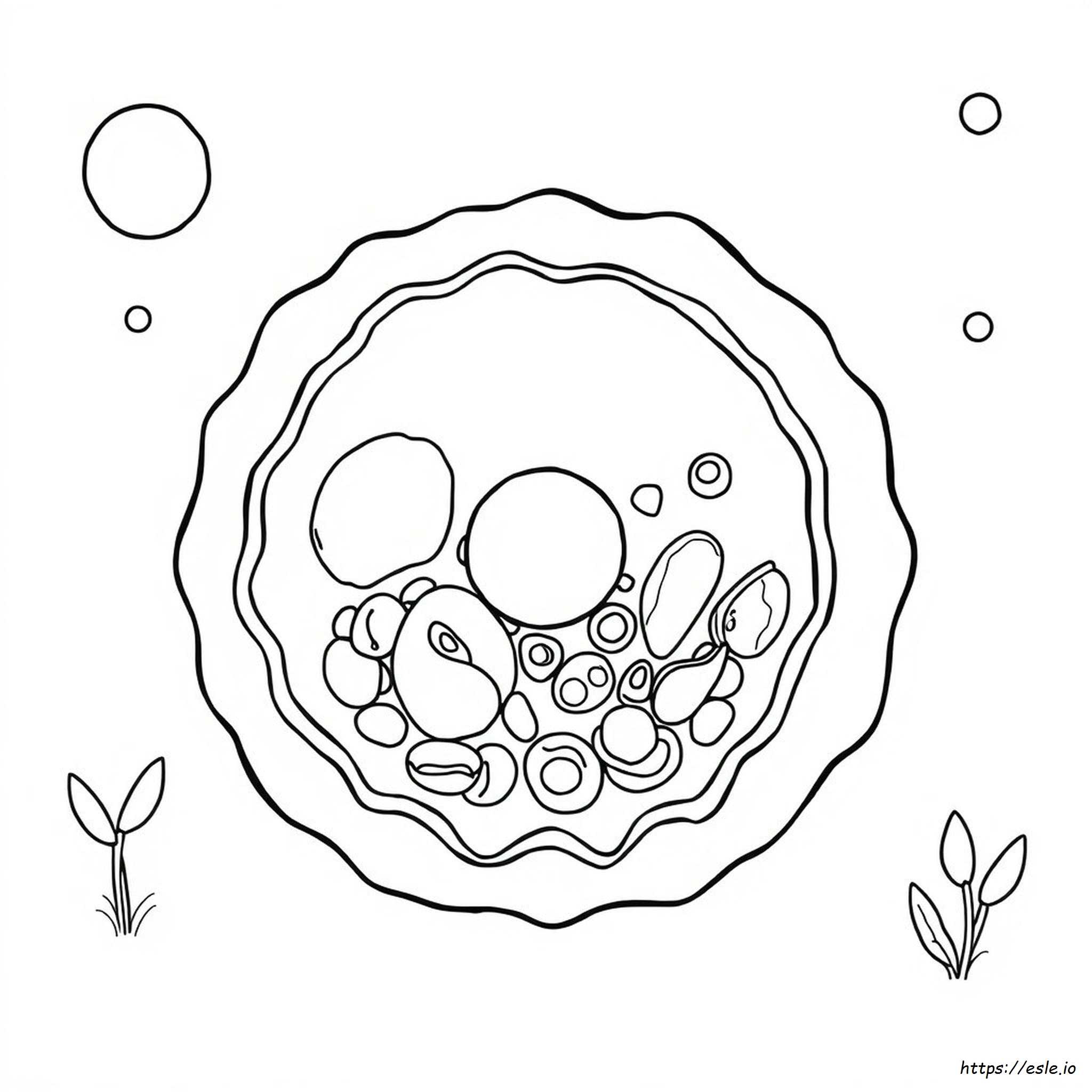 Animal Cell Coloring Worksheet