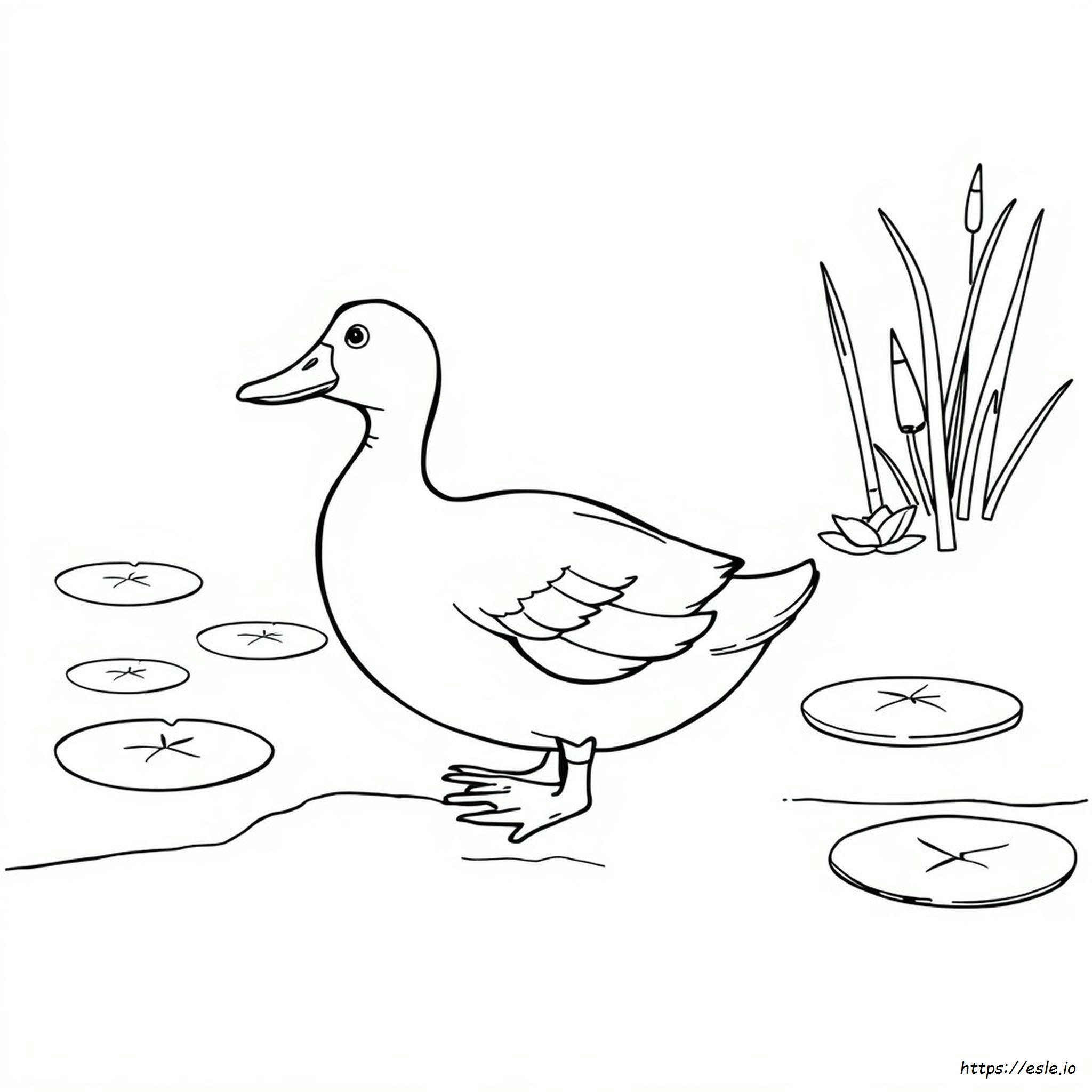Coloring Pages Of A Duck
