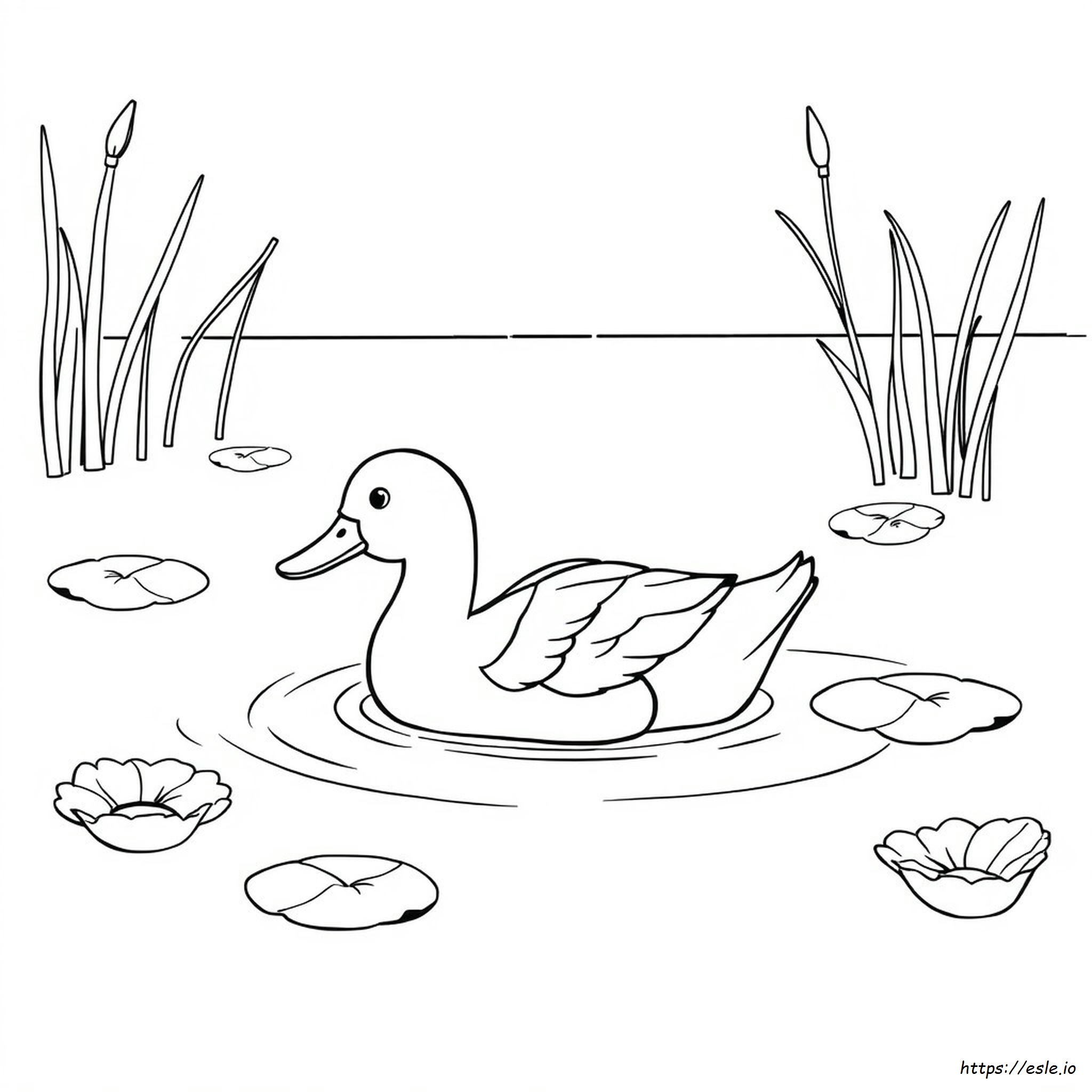 Duck Coloring Pages For Adults