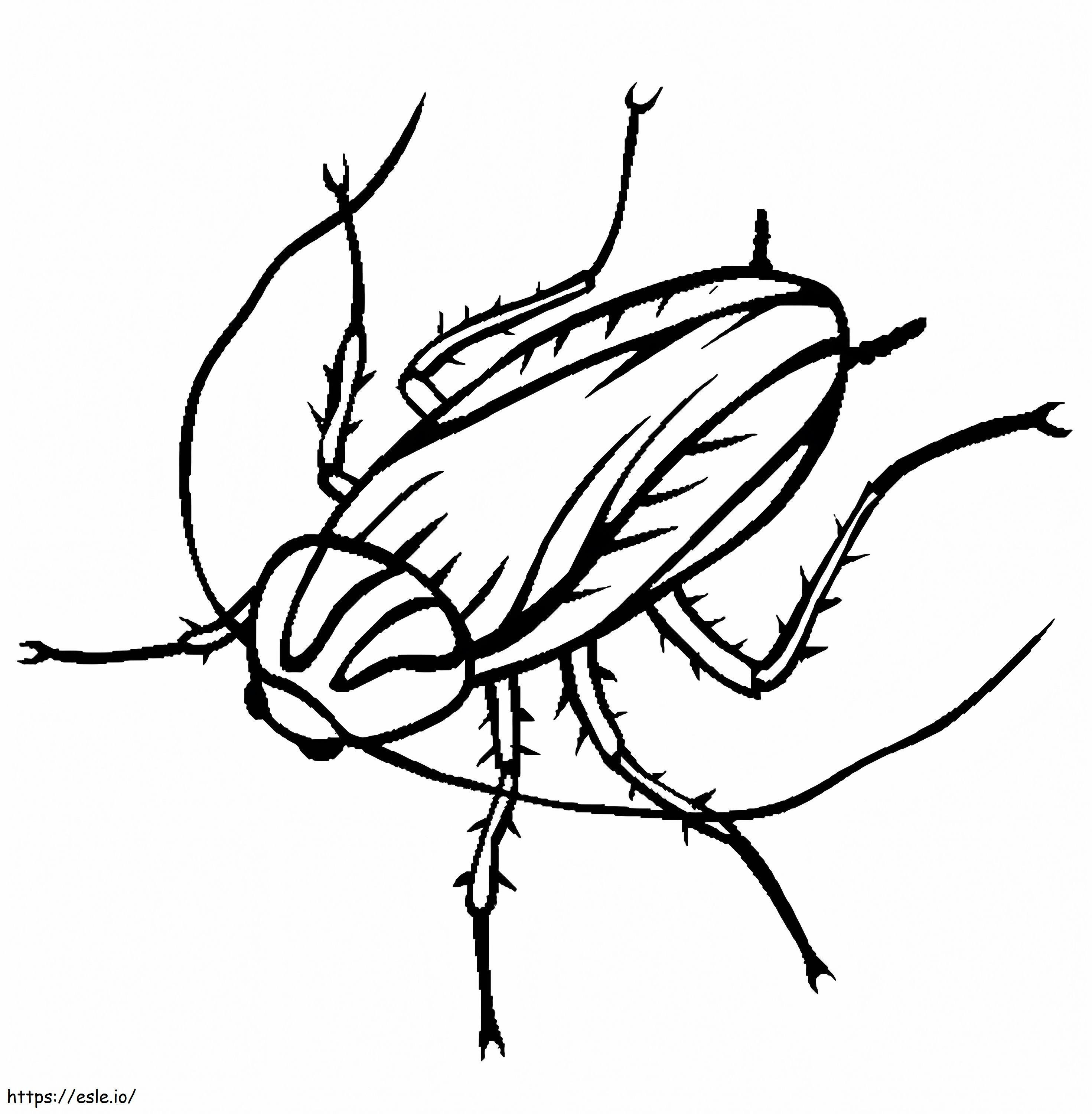 Uno scarafaggio da colorare