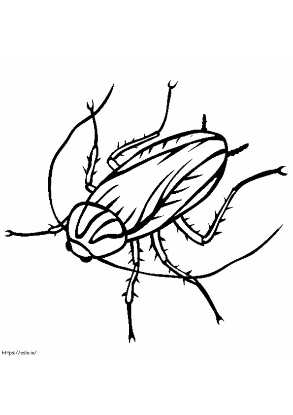 Een kakkerlak kleurplaat