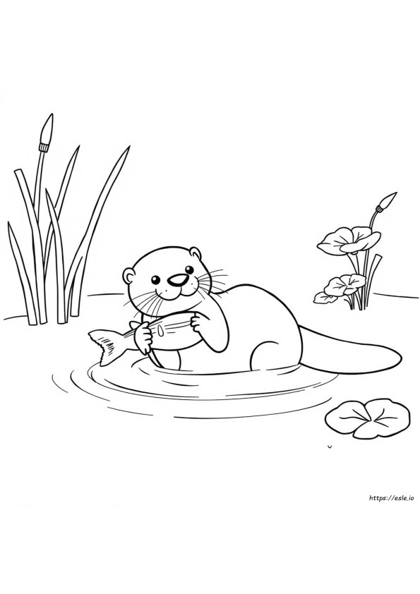 Dibujo De Nutria Para Colorear