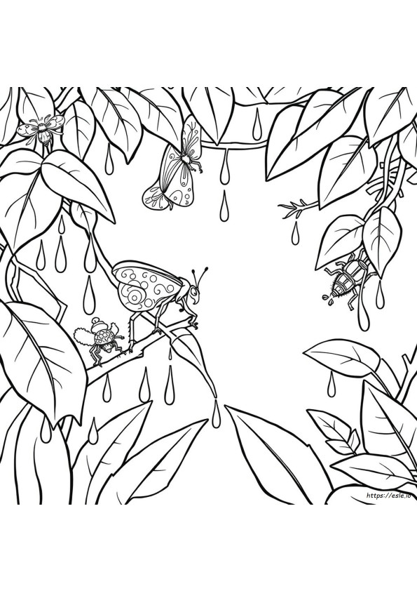 Coloriages À Imprimer Insectes De La Forêt Tropicale