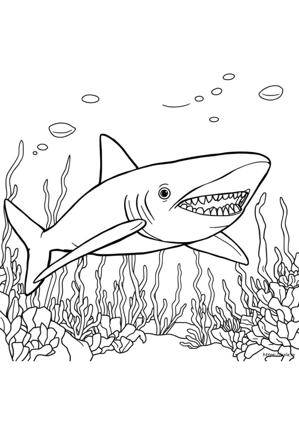 Megalodon Boyama Sayfası Ücretsiz