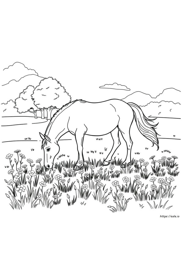 Free Horse Coloring Pages For Adults