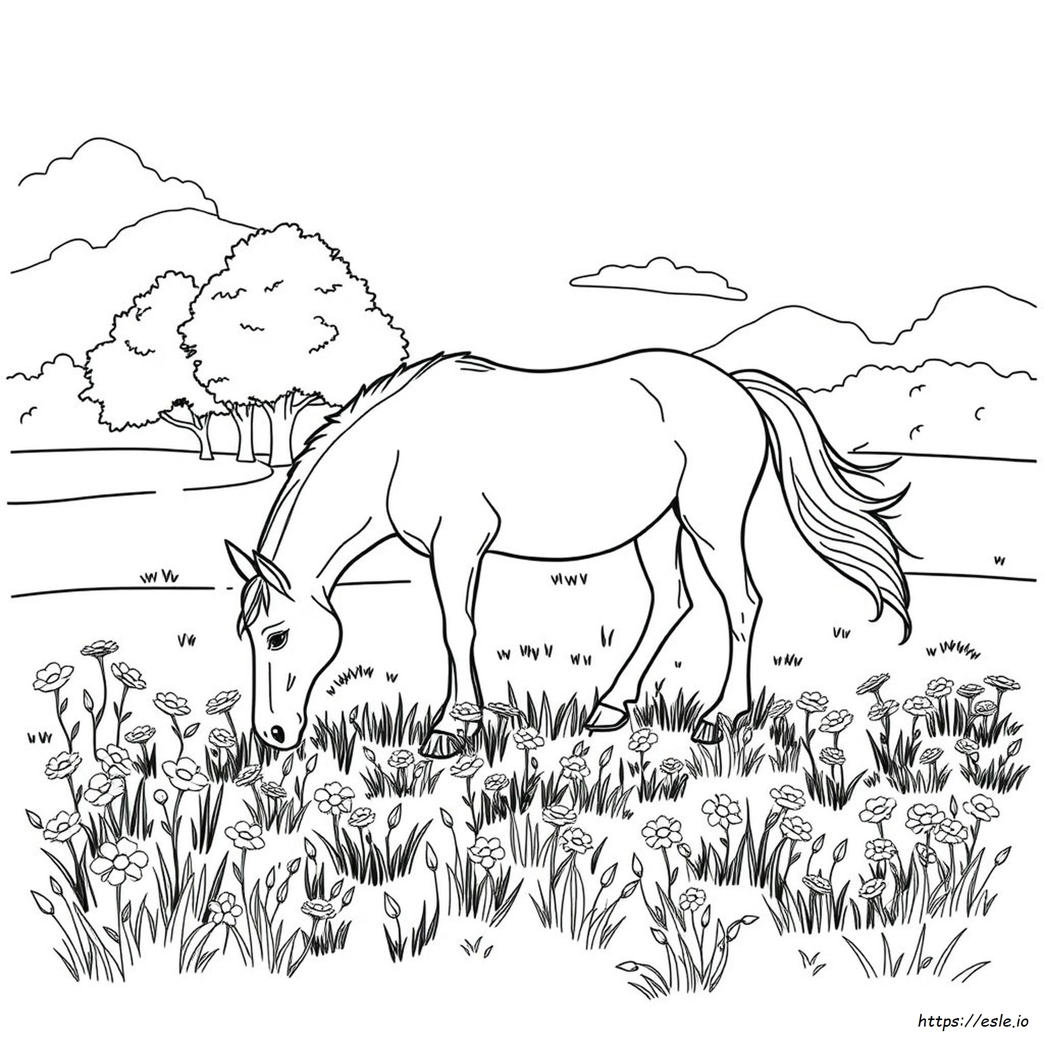 Coloriage Cheval Adulte À Imprimer Gratuit