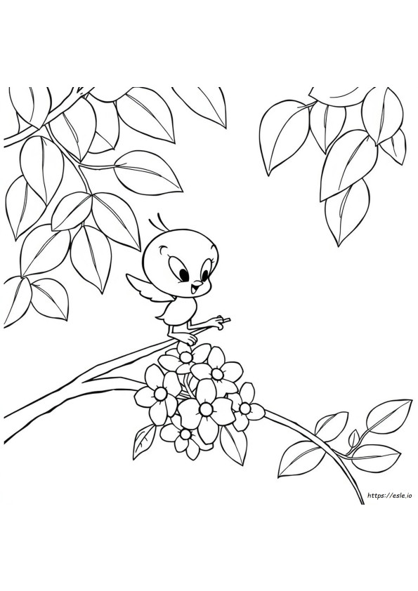 Tweety Looney Tunes Coloring Pages