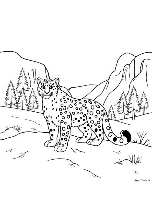 Coloriage Léopard Des Neiges