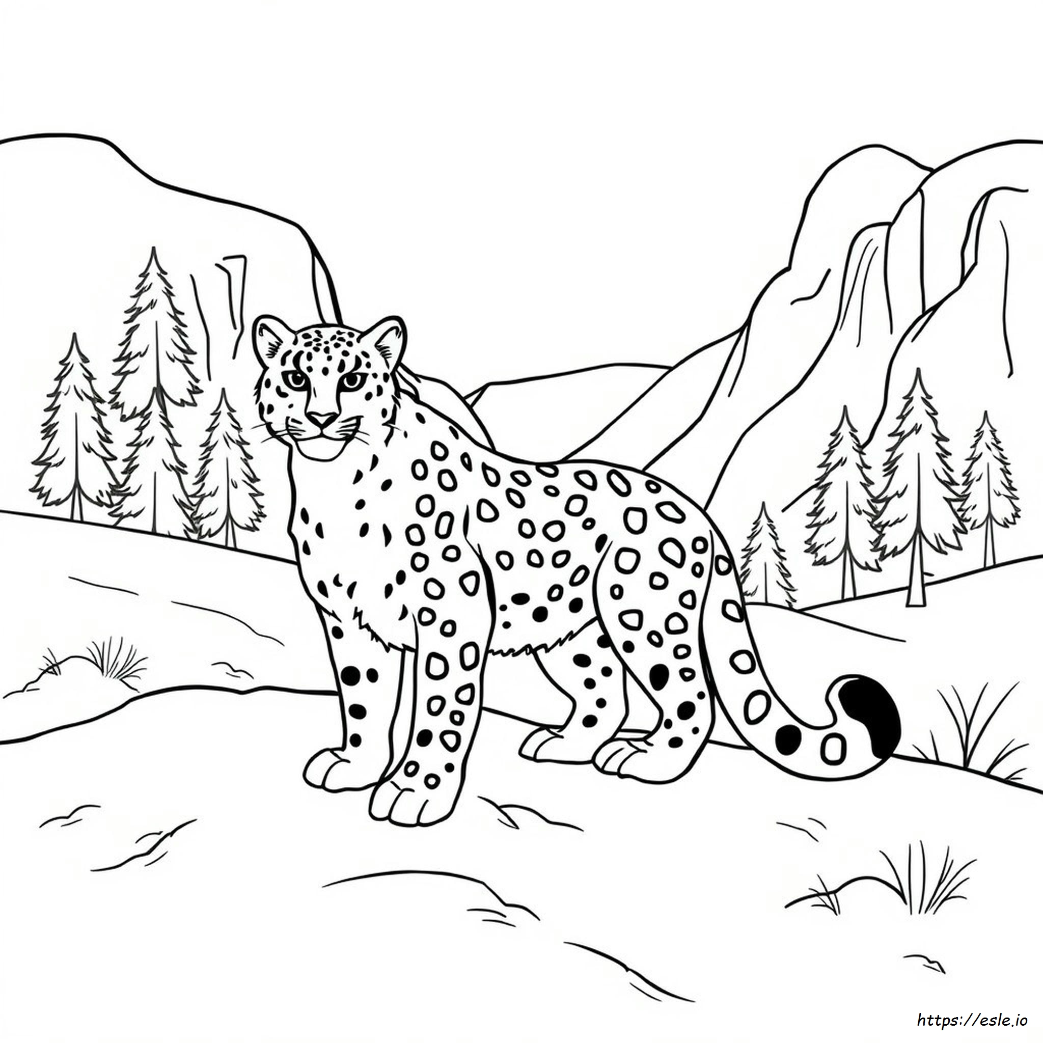 Schneeleopard Ausmalbild
