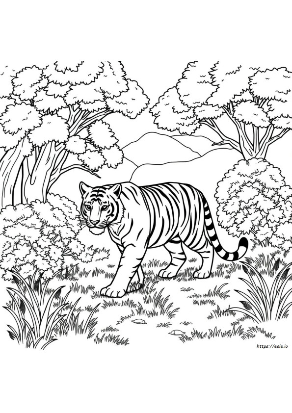 Coloriages Animaux Réalistes