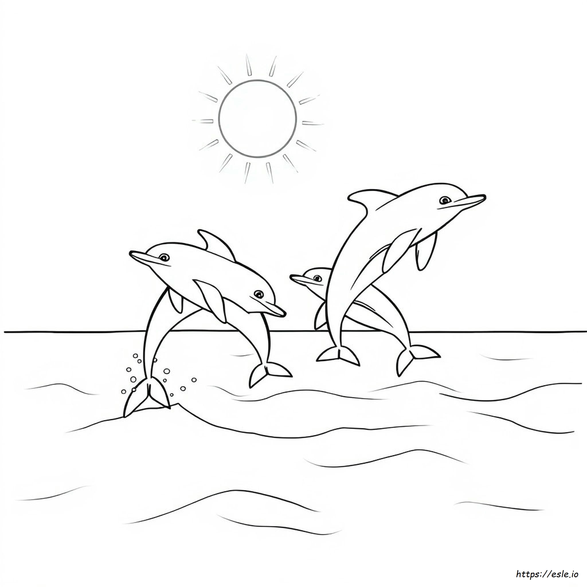 Dolphins To Colour In