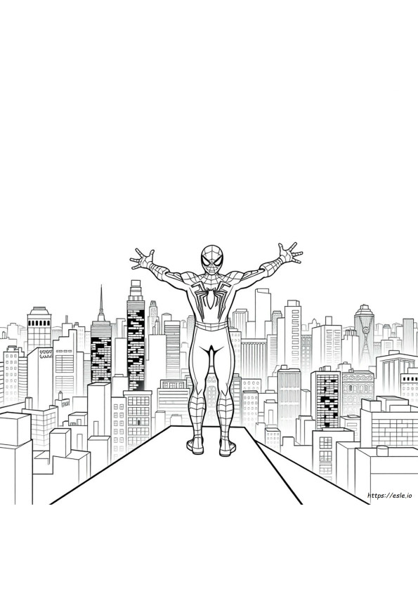 Spider Man Coloring Book