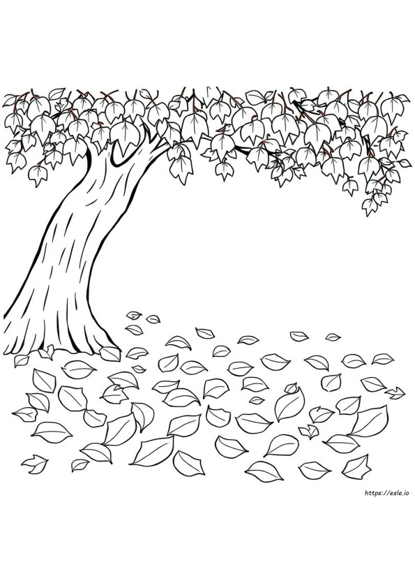 Coloring Pages Of Leaves