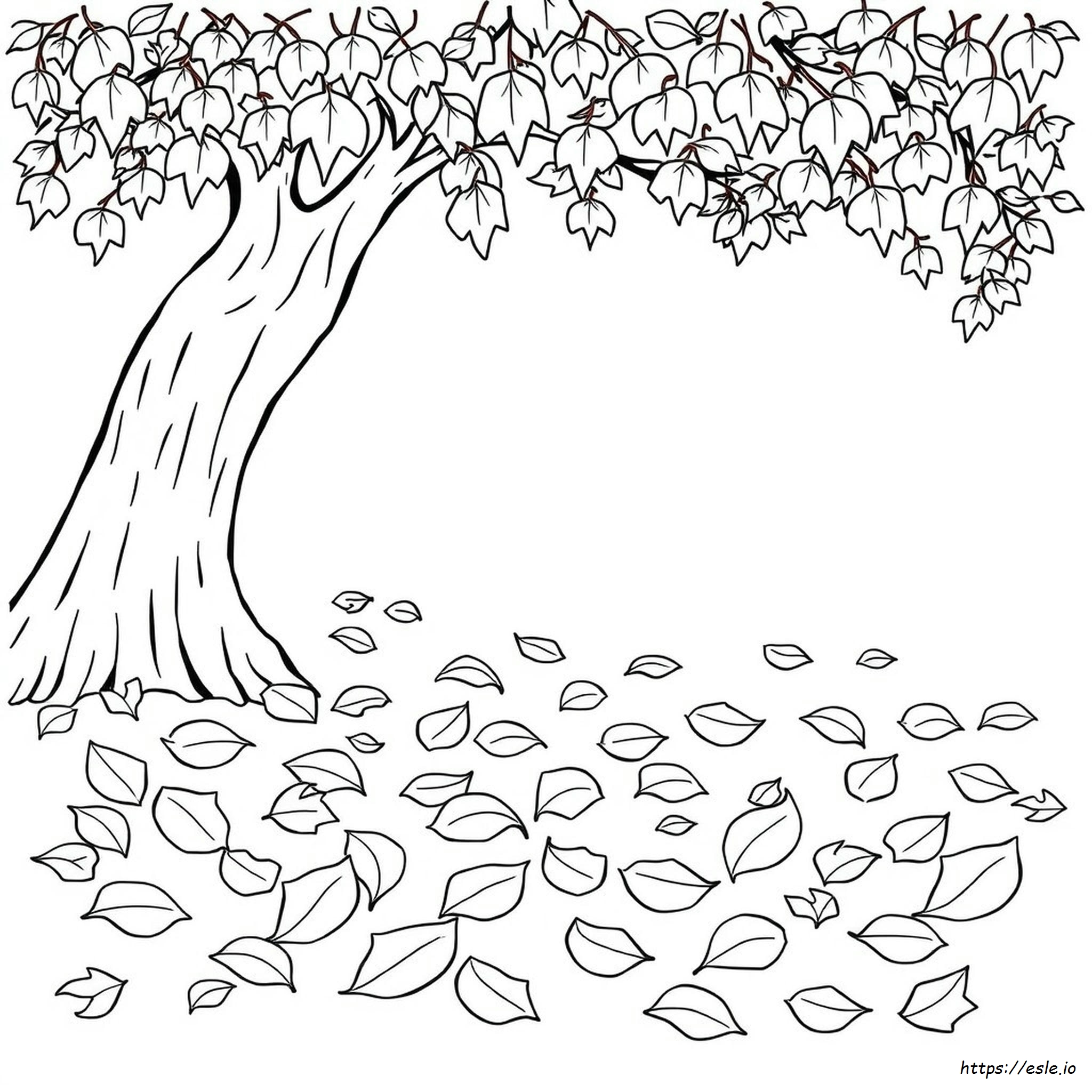 Coloring Pages Of Leaves