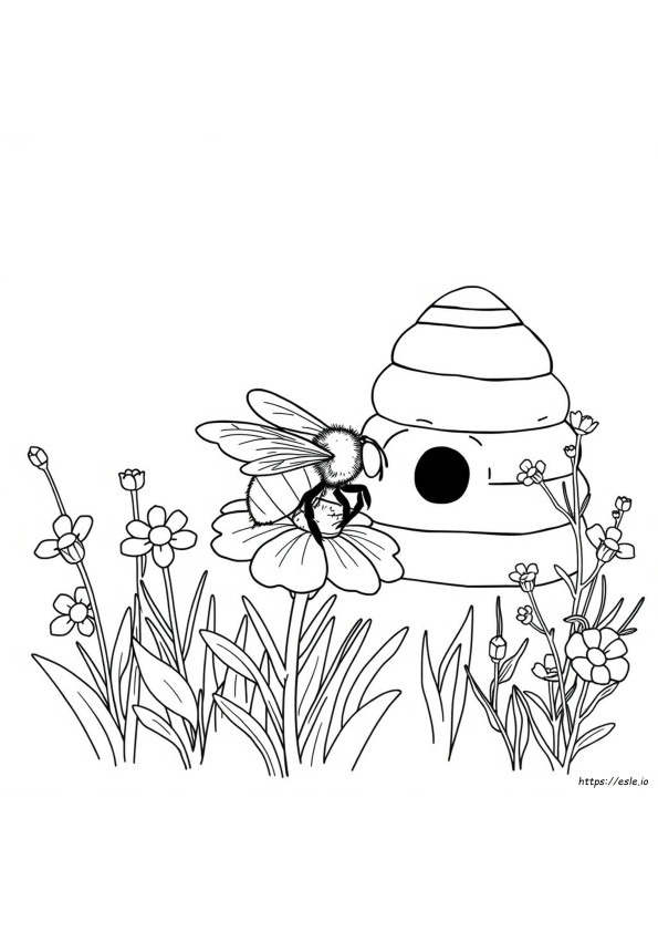 Hoja Para Colorear De Abeja Melífera